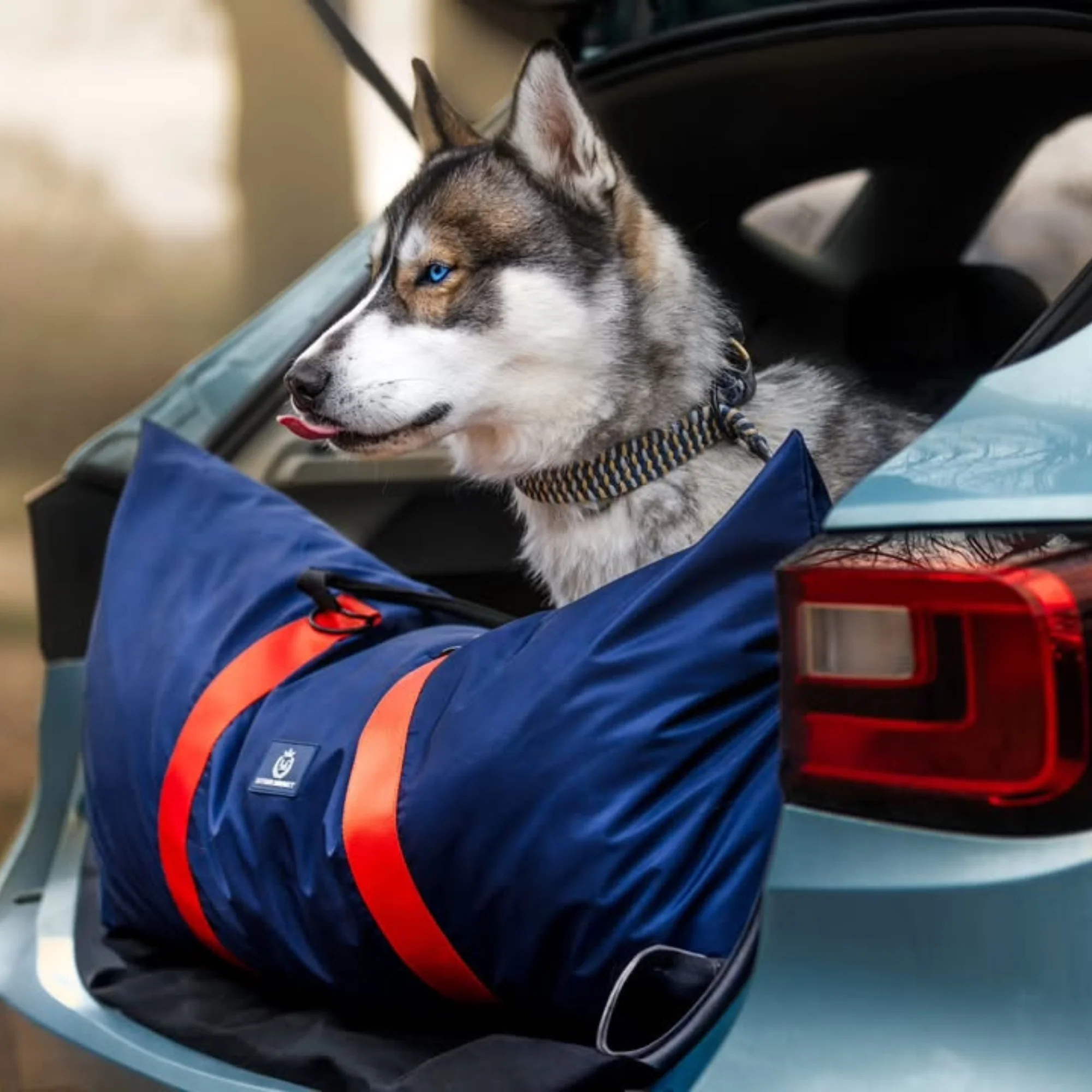 Travel Dog Pods